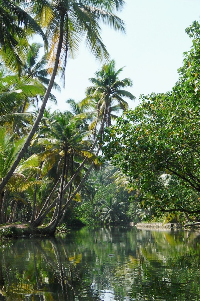 Красивая природа в Алапужа