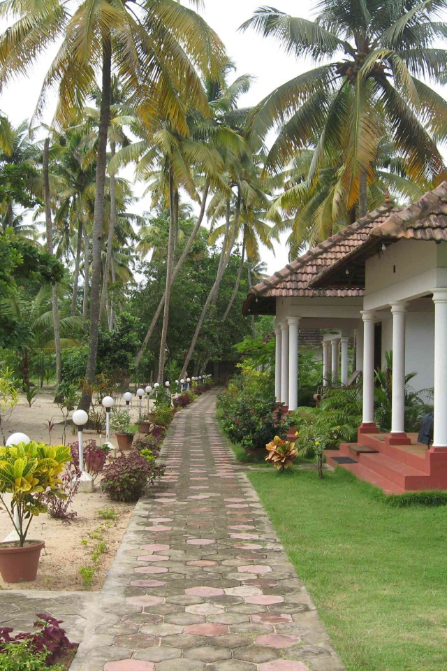 Красивые улицы в Алапуже