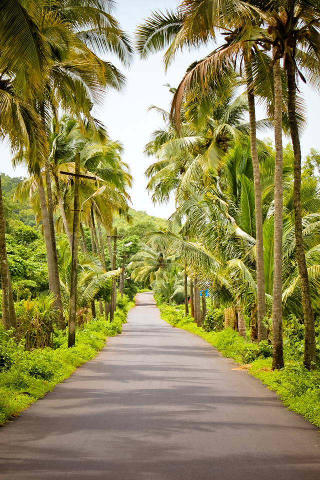 Красивые улицы в Гоа