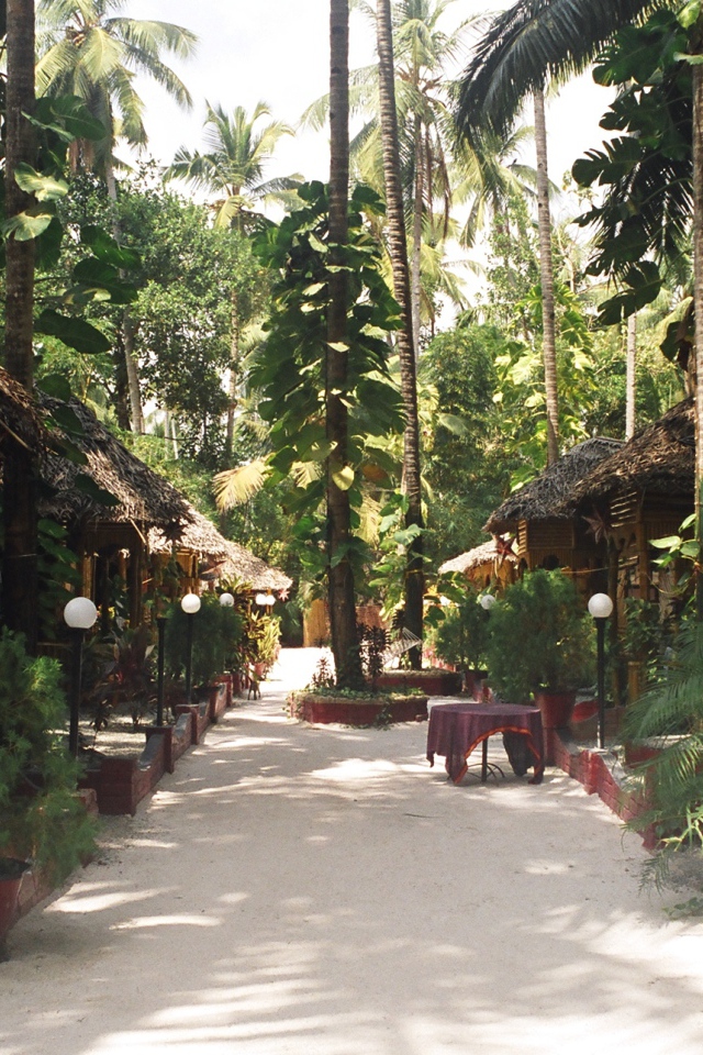 Красивые улицы в Варкале