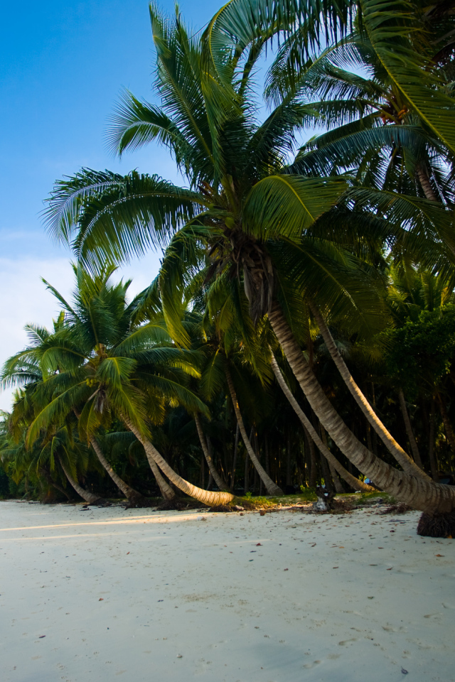 Красивые улицы на Андаманских островах