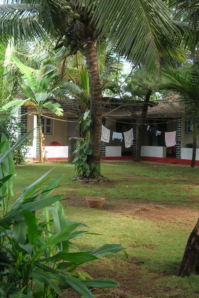 Красивые деревья в Бенаулиме