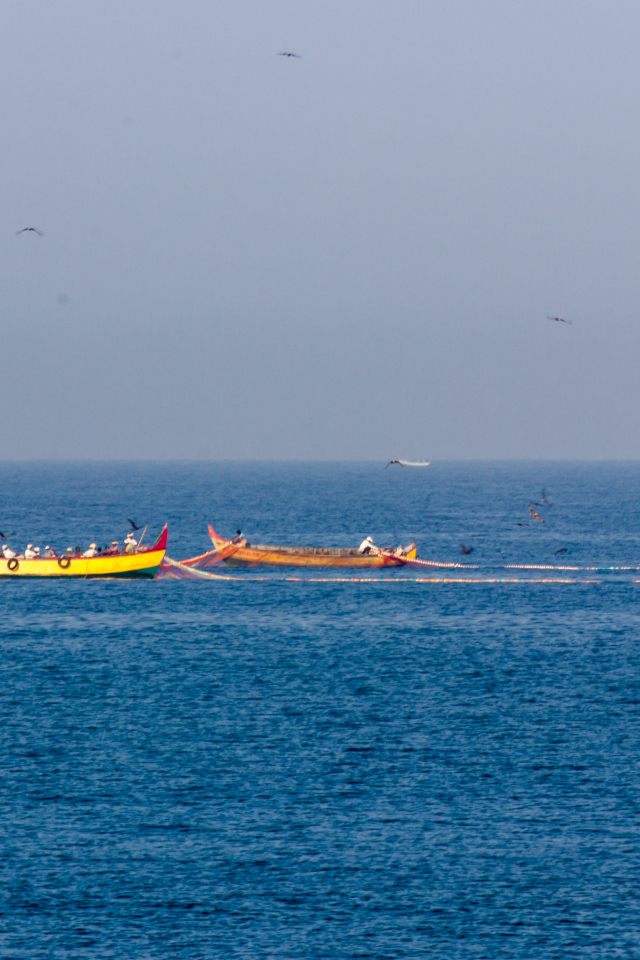 Лодки возле побережья в Варкале