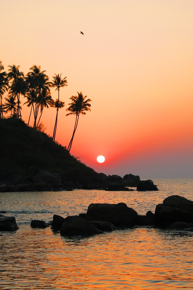 Вечер в Арамболе