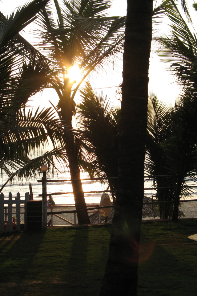 Вечером в Бенаулиме