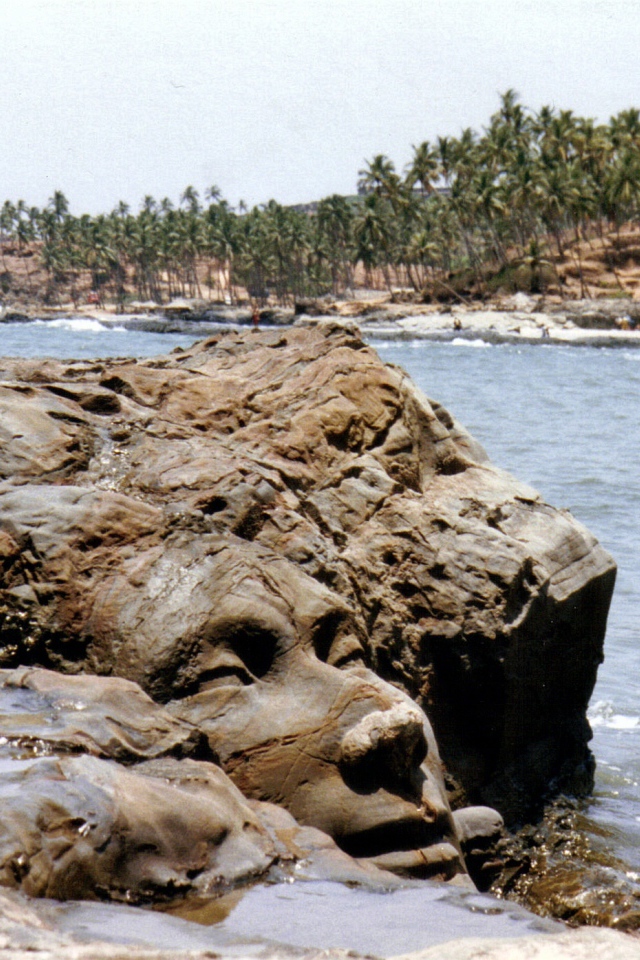 Лицо Шивы в Вагаторе