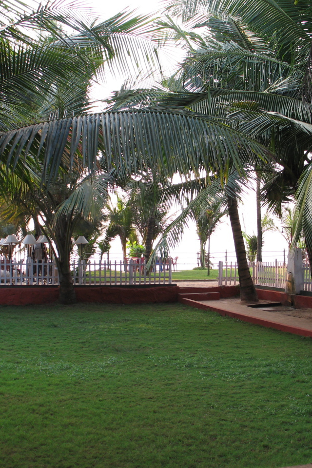 Ухоженные газоны в Бенаулиме