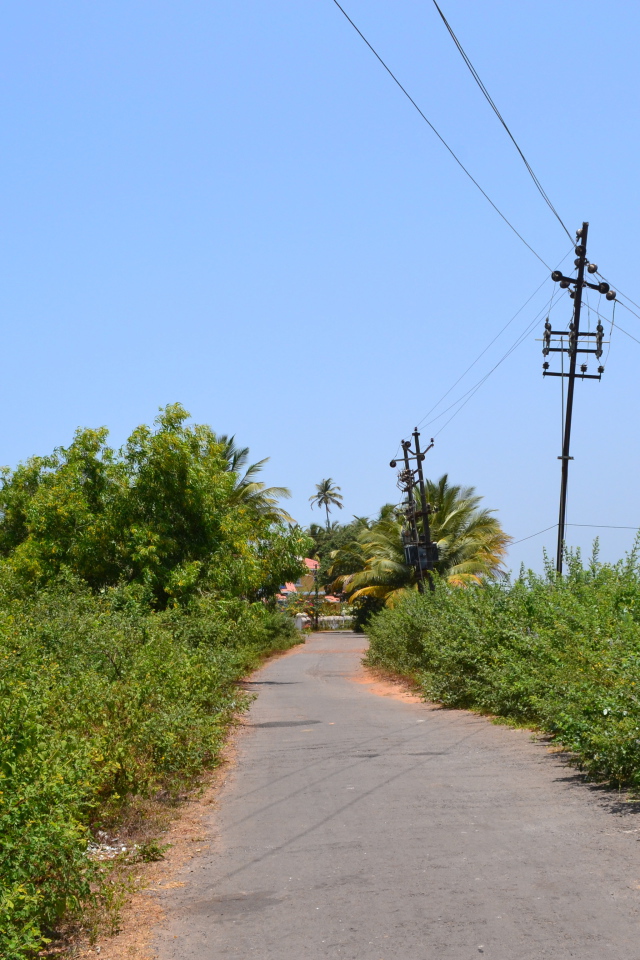 Природа в Бенаулиме