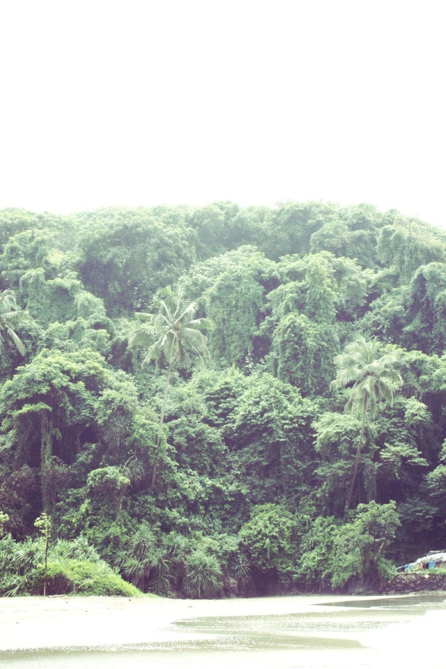 Природа в Вагаторе