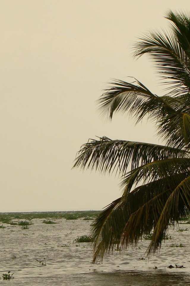 Весенний отпуск в Алапуже