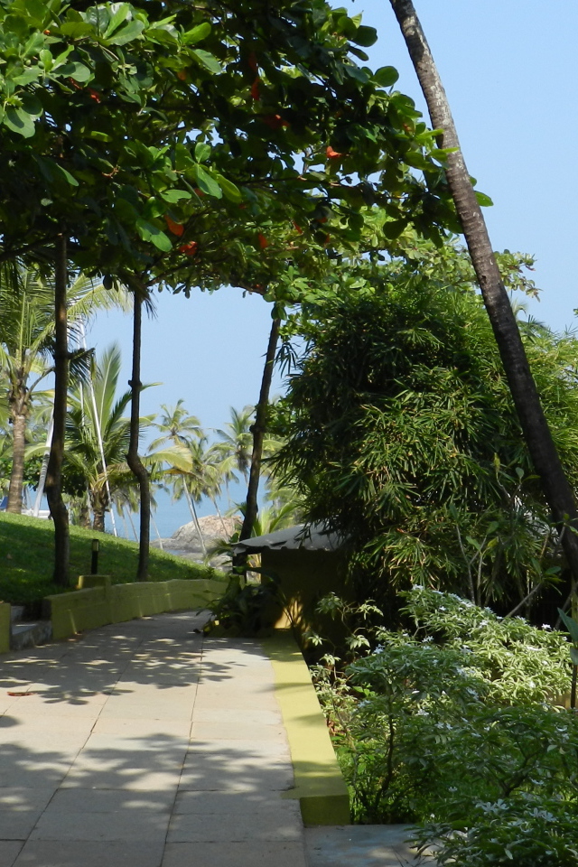 Летний отпуск в Анджуне