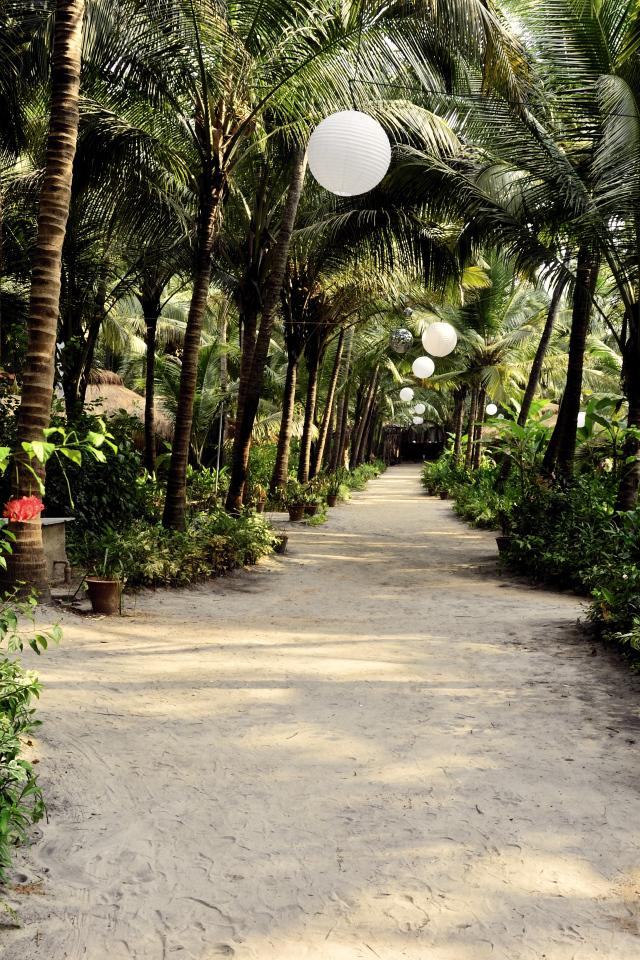 Прогулка по улицам Ашвема