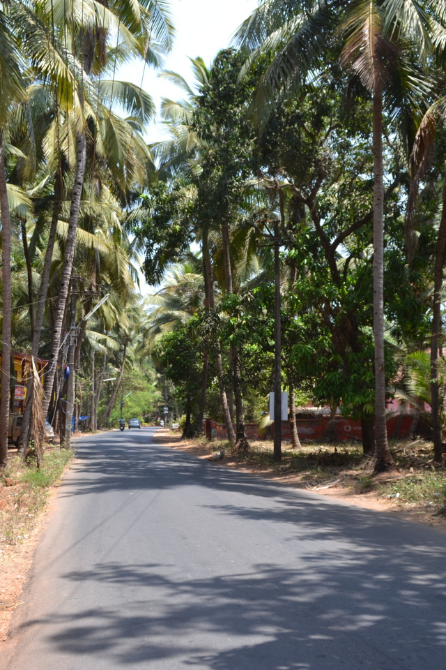 Прогулка по улицам Бенаулима