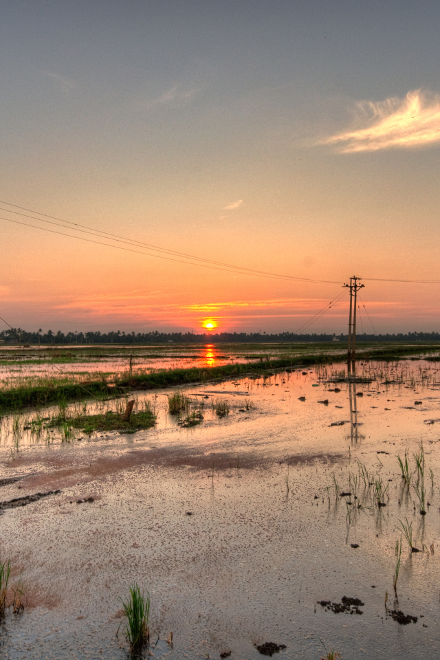 Водная местность в Алапуже