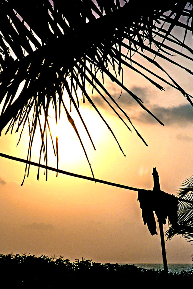 Чудесные закаты в Гоа