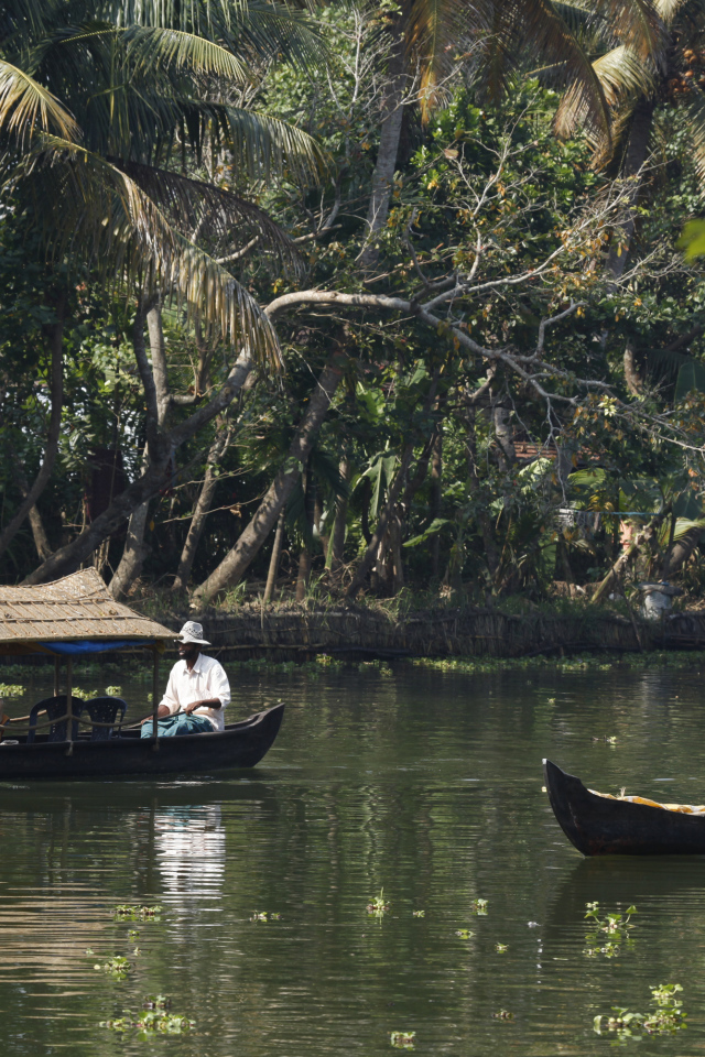 Чудесная погода в Алапуже