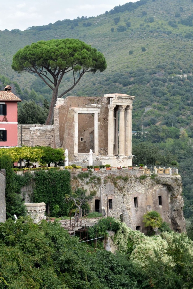 Гнездо хищной птицы в Тиволи, Италия