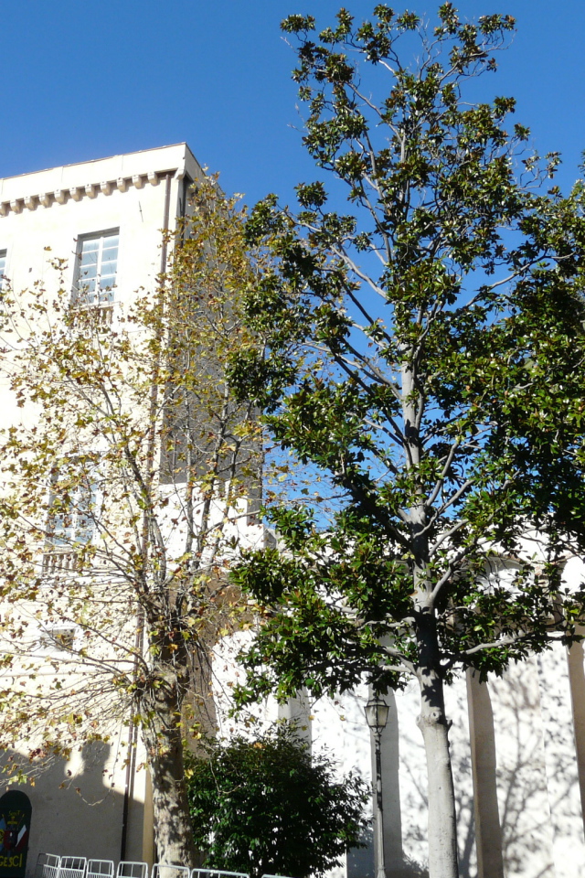 Старинная башня в Лоано, Италия