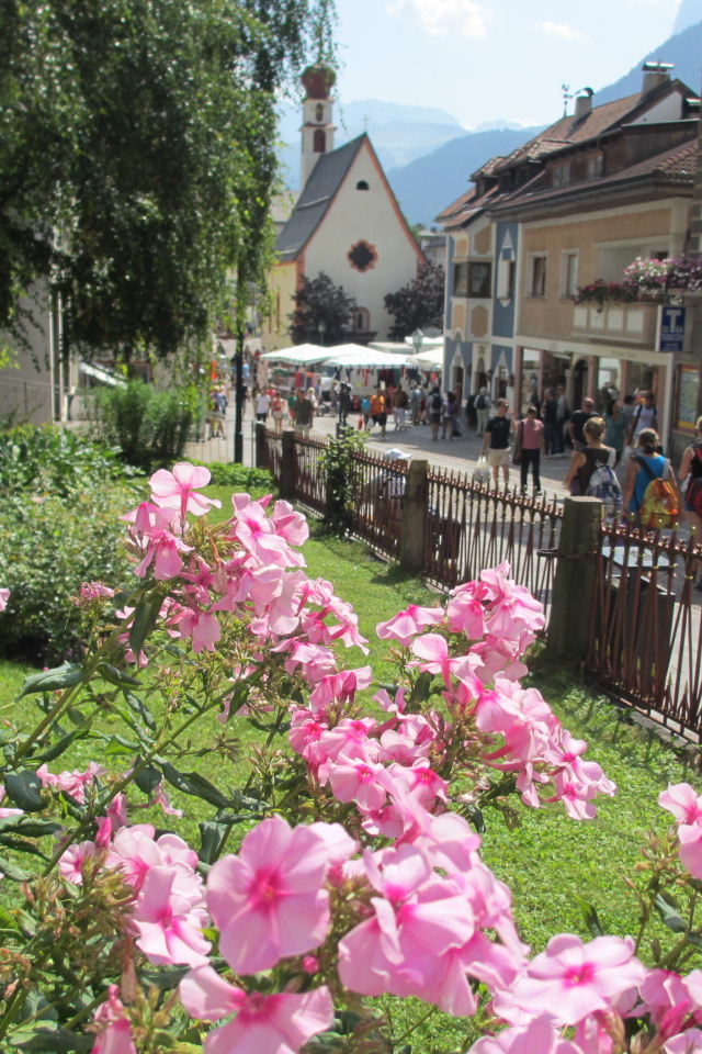 Цветы на клумбе на курорте Ортизей, Италия