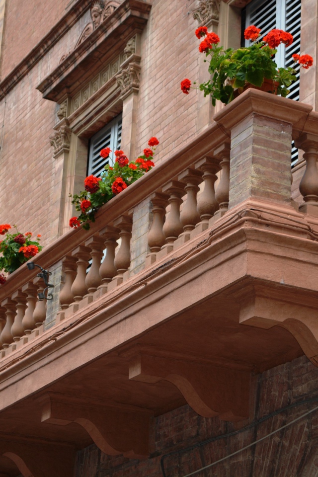 Цветы на балконе в Сиене, Италия