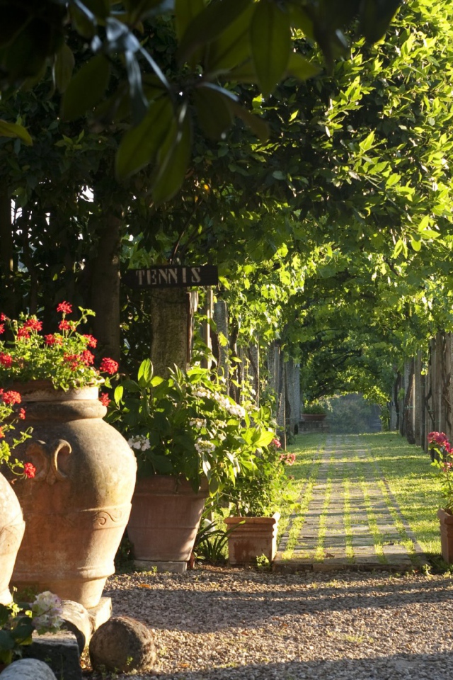 Зеленая аллея в Сиене, Италия