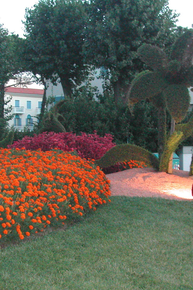 Великолепный сад на курорте Лидо ди Езоло, Италия