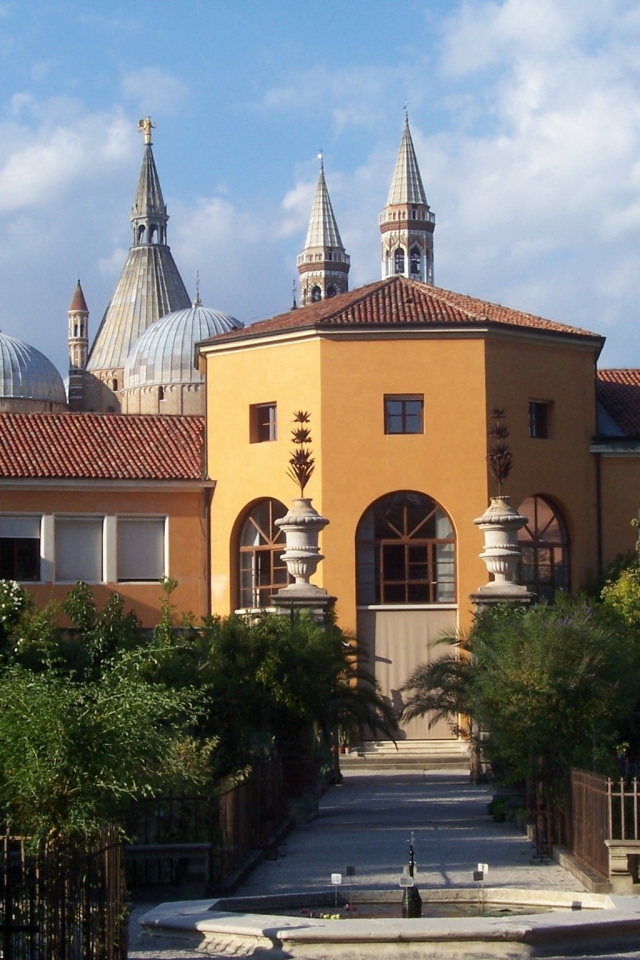 Орто Ботанико в Падуе, Италия