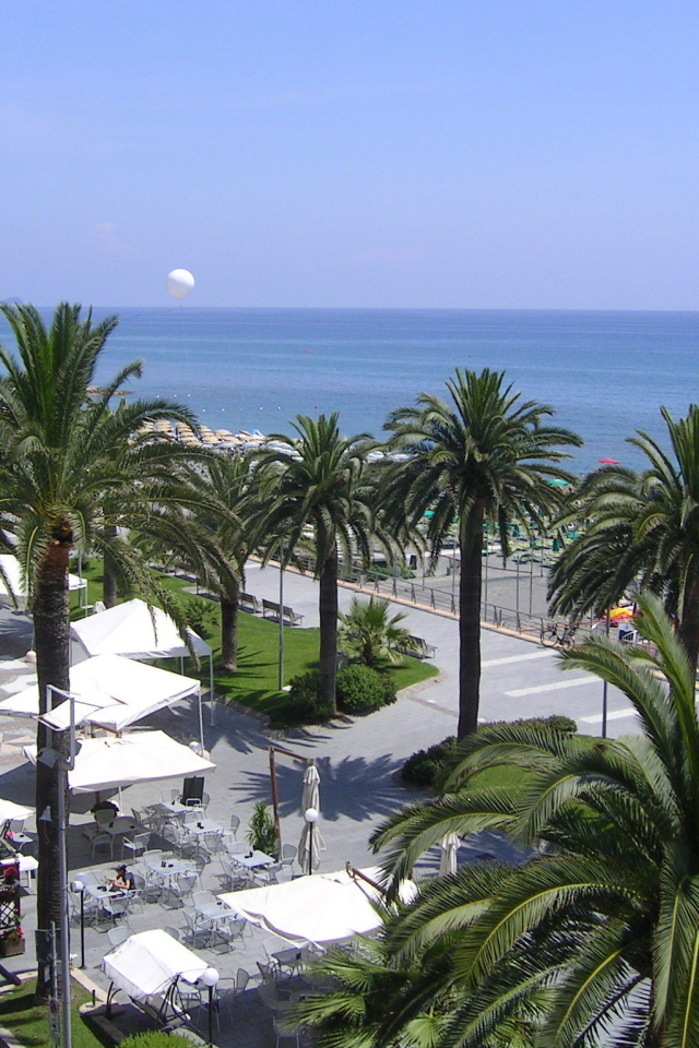 Пальмы на пляже в Лоано, Италия