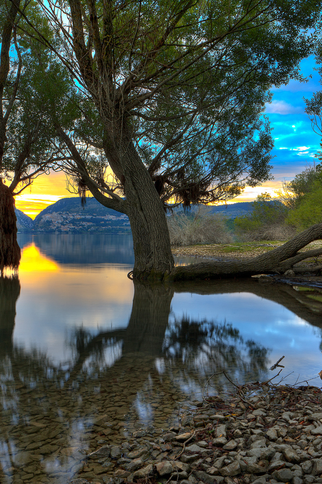 Деревья в озере, Абруццо, Италия