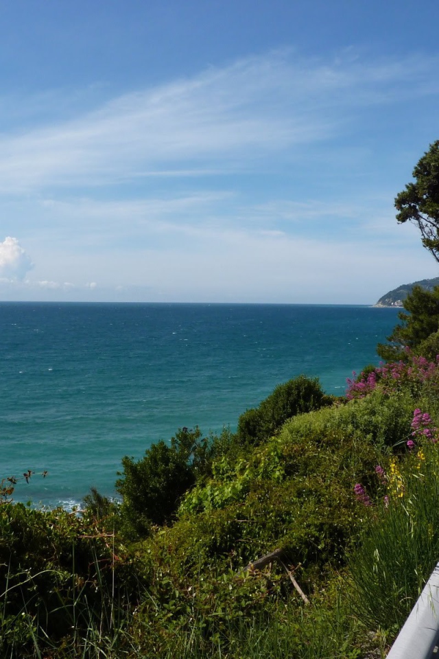 Деревья на набережной в Санто Стефано аль Маре, Италия