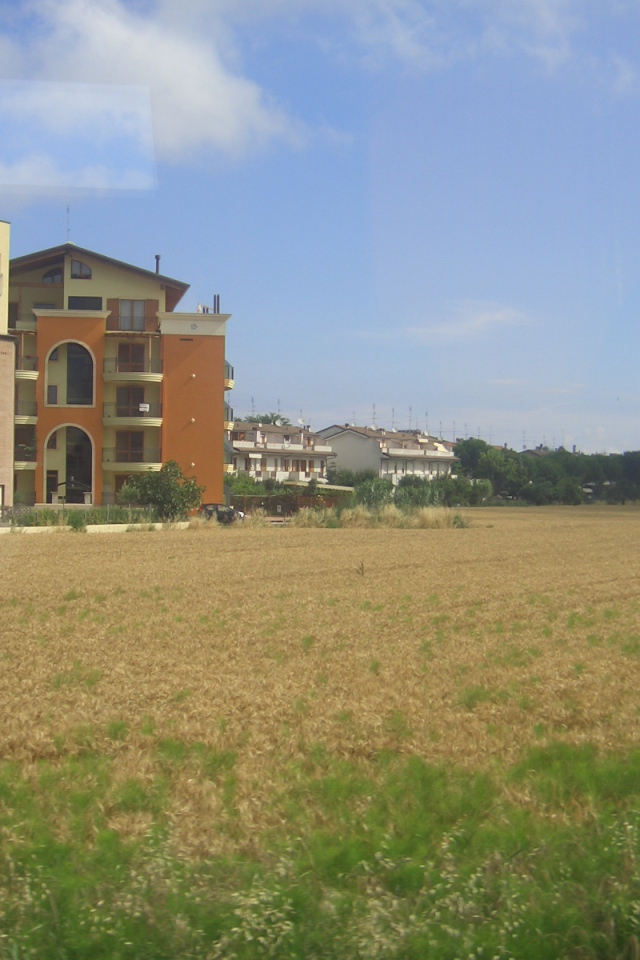 Пшеничное поле в Сан Марино, Италия