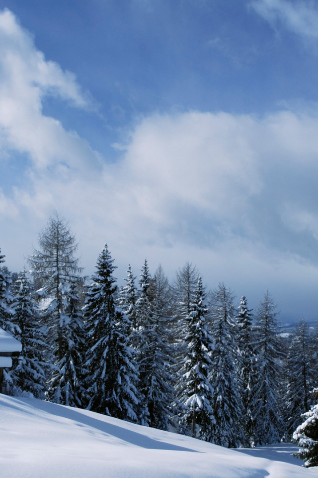 Зимний отдых на горнолыжном курорте Валь Гардена, Италия