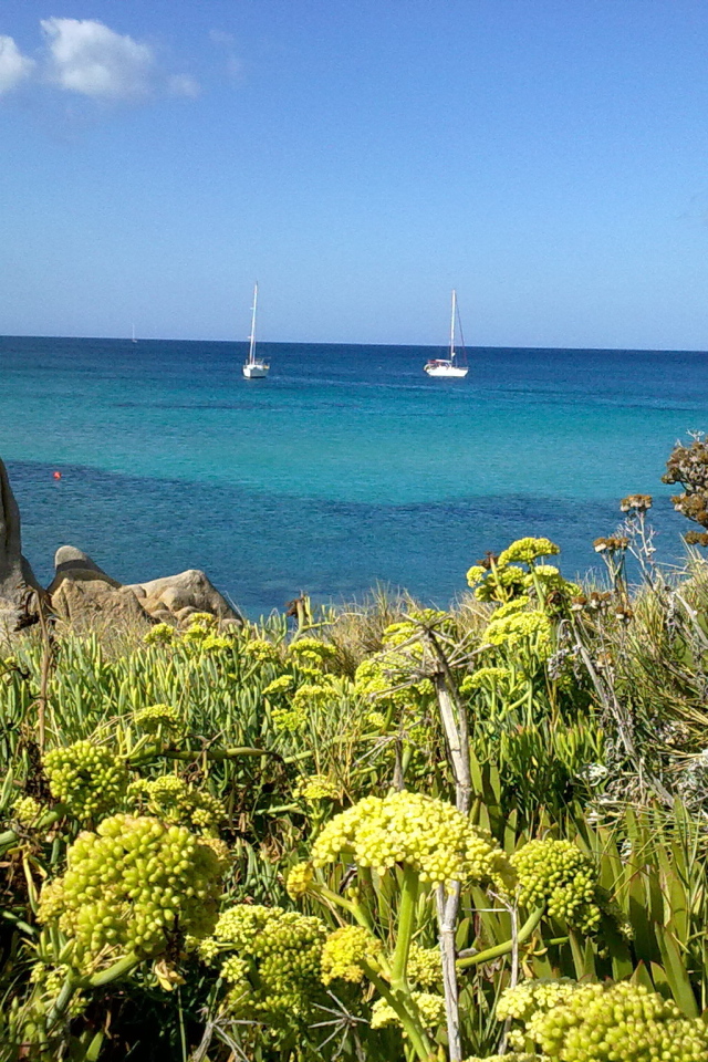 Яхты в заливе на курорте в Пьетра Лигуре, Италия