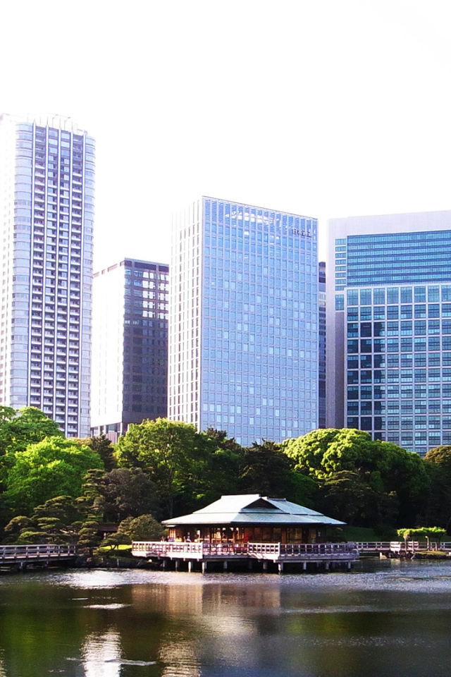 Озеро на фоне зданий в Токио