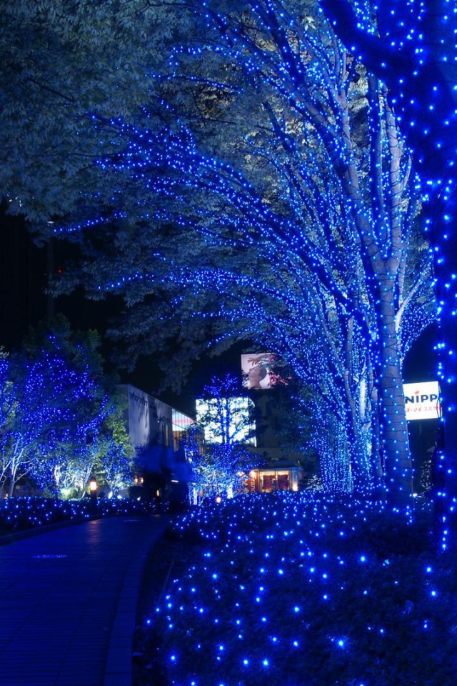 Деревья в парке в Токио