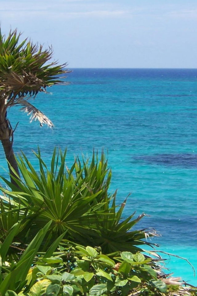 Солнечное Мексика