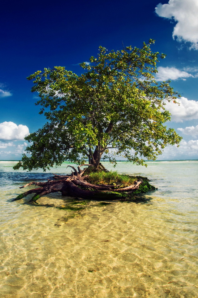 Потрясающое Мексика