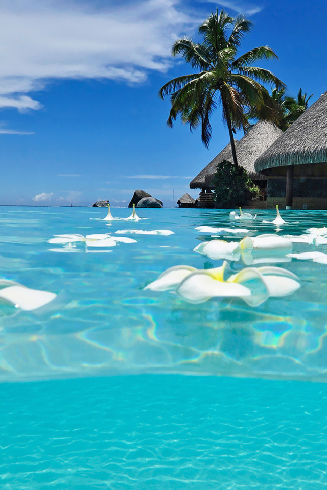 Популярная страна Мексика