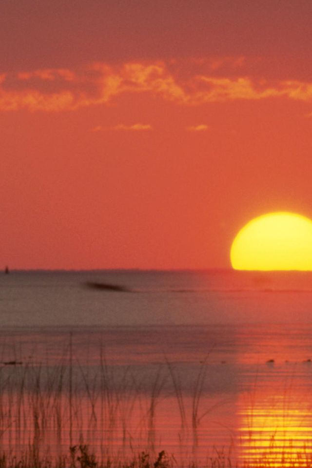 Замечательное место в Мексика