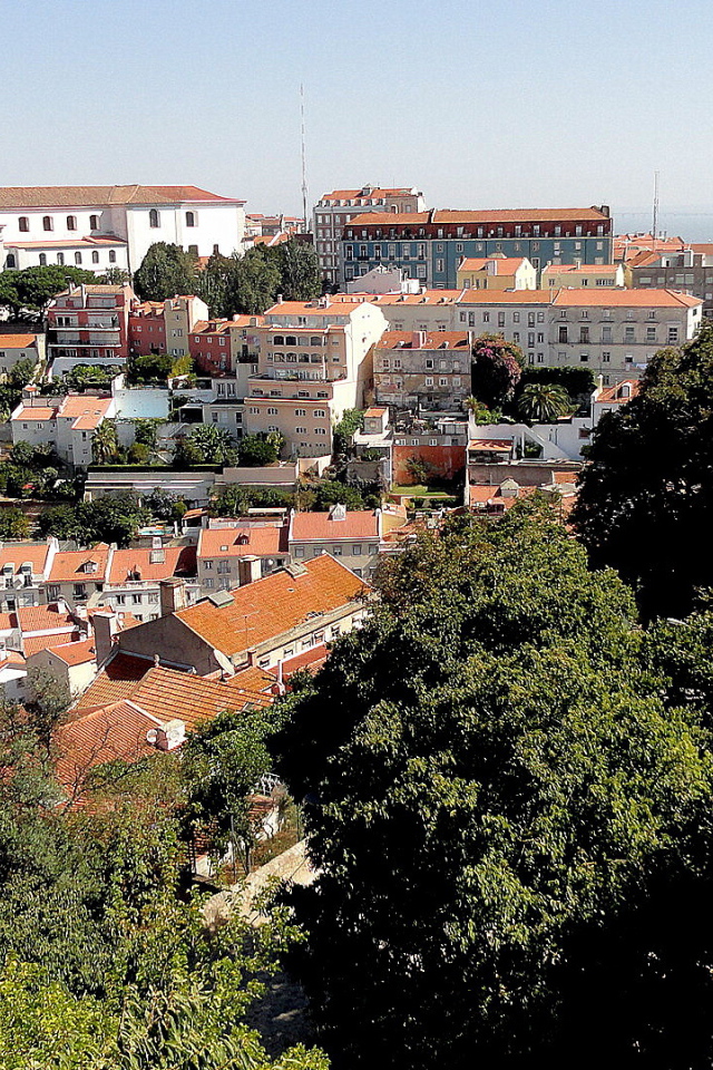 Деревья на фоне Лиссабона