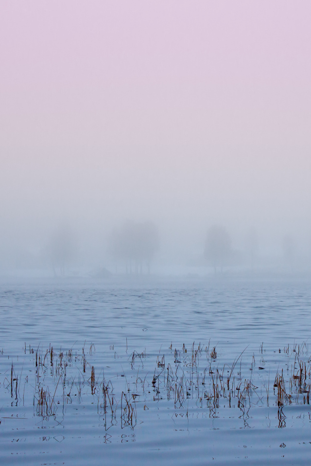 Туман в Швеции
