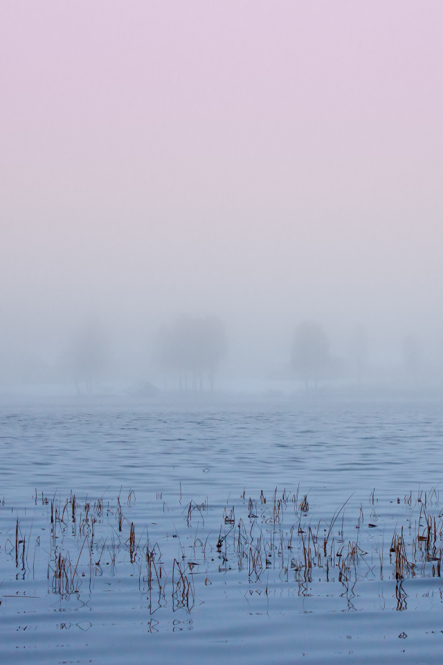 Туман в Швеции