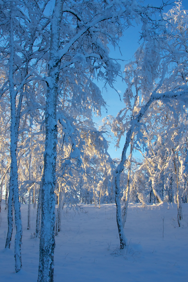 Кируна, Швеция