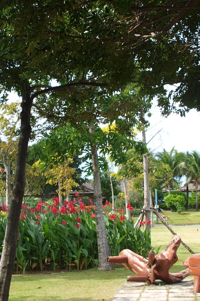 Райские сады на острове Самуи, Таиланд