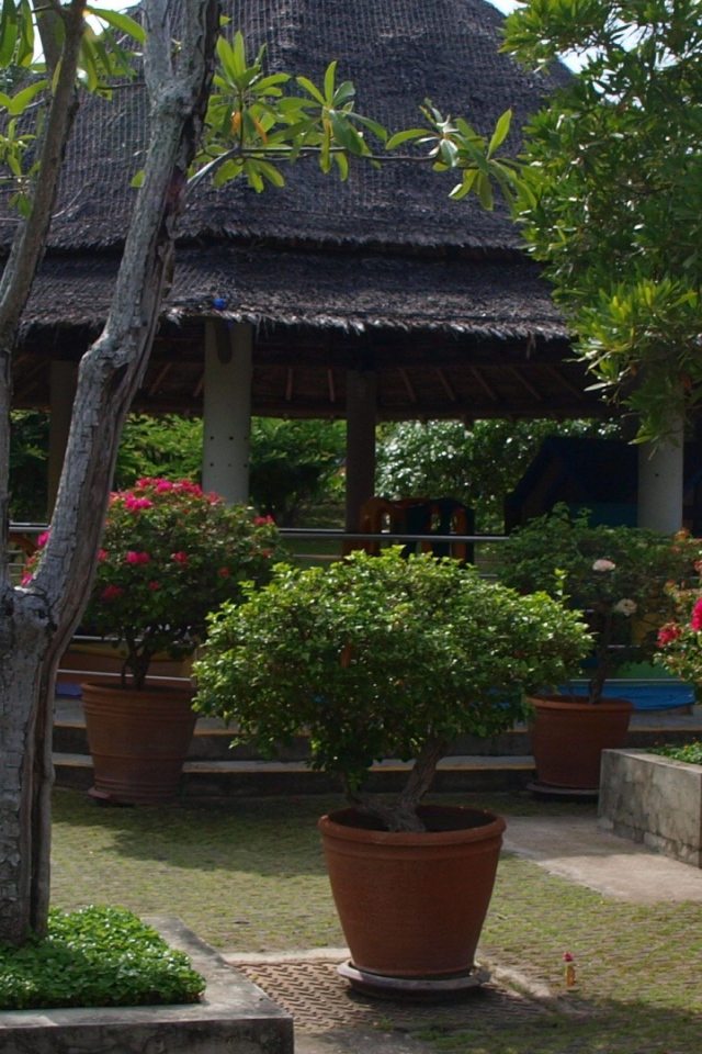 Беседка в саду на острове Самуи, Таиланд