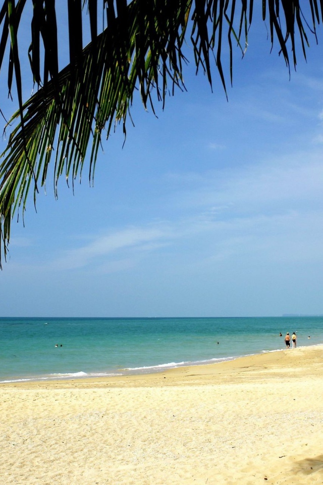 Золотой пляж на острове Самуи, Таиланд