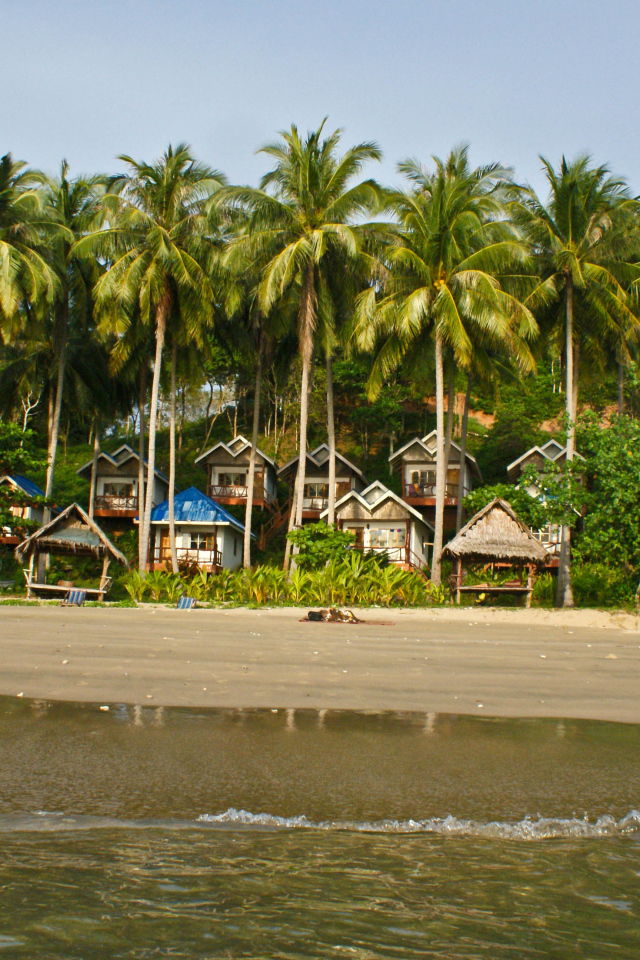 Дома среди пальм на острове Тао, Таиланд