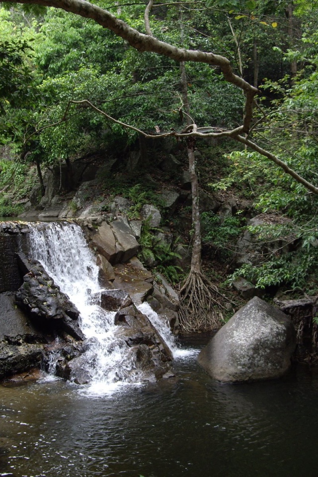 Национальный парк Хуай Янг на курорте Хуа Хин, Таиланд