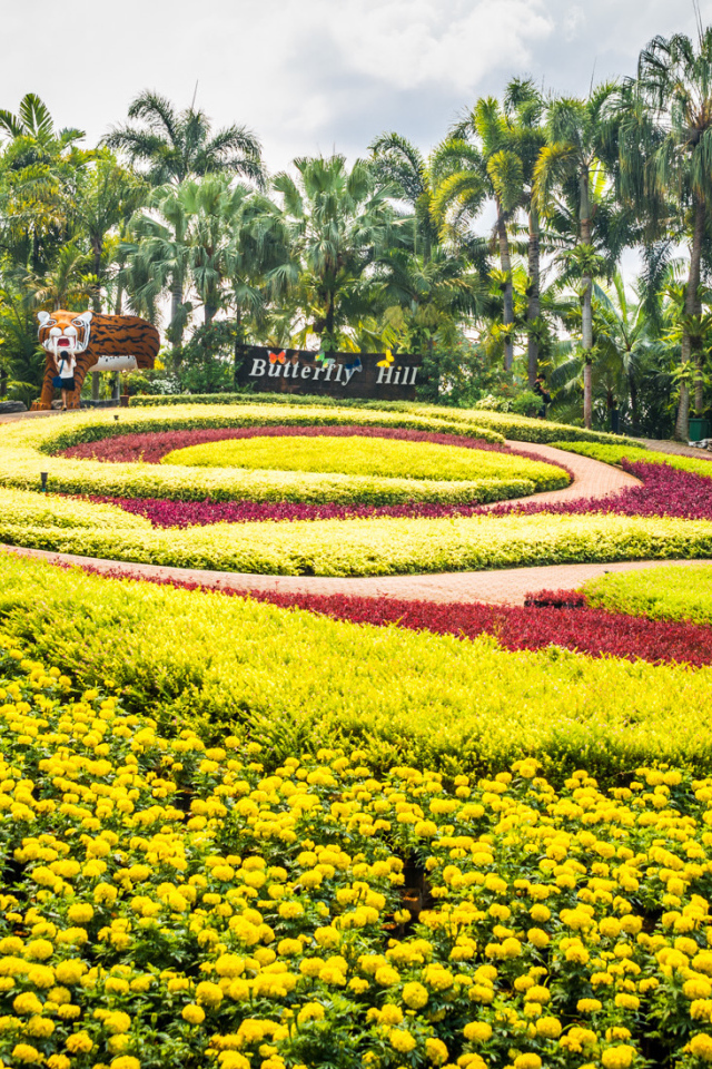 Великолепный сад на курорте в Паттайе, Таиланд