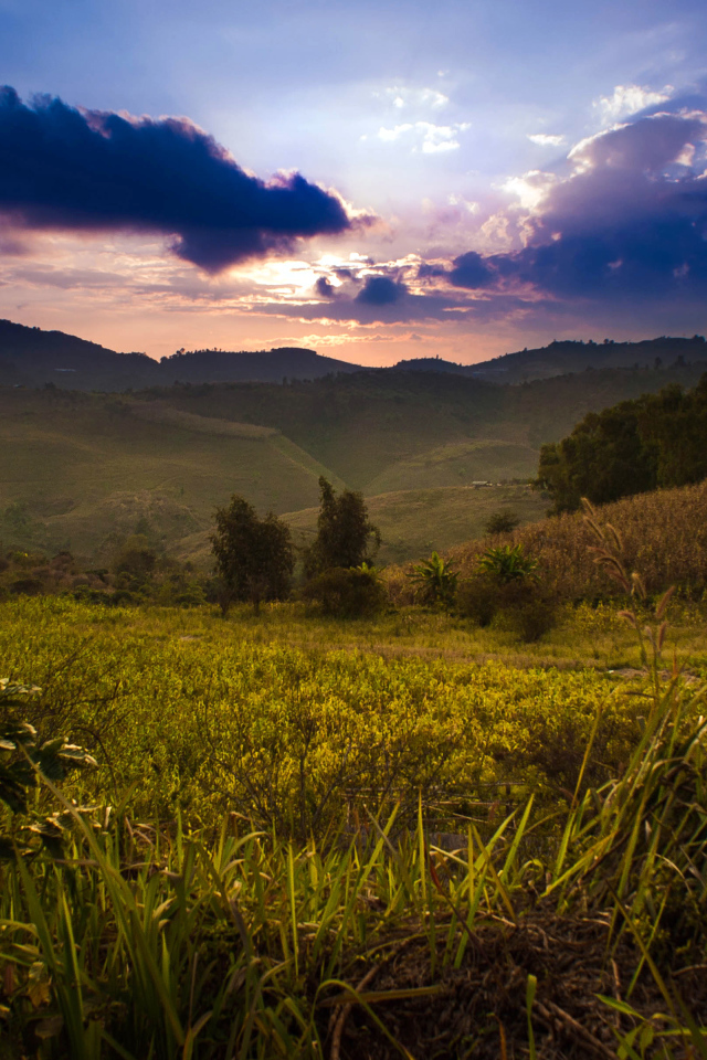 Недалеко от деревни Мае Салонг в Таиланде